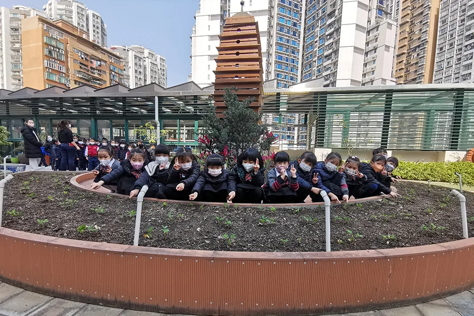 天台種植活動（二）