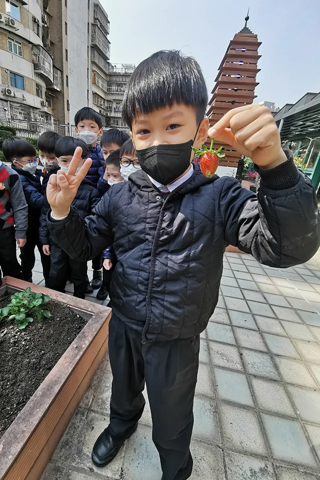 天台種植活動（二）