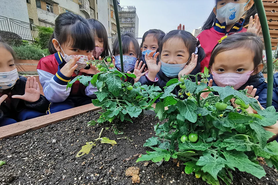 天台種植活動（二）