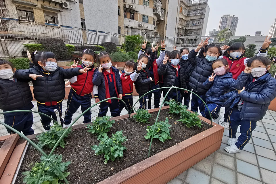 天台種植活動（二）