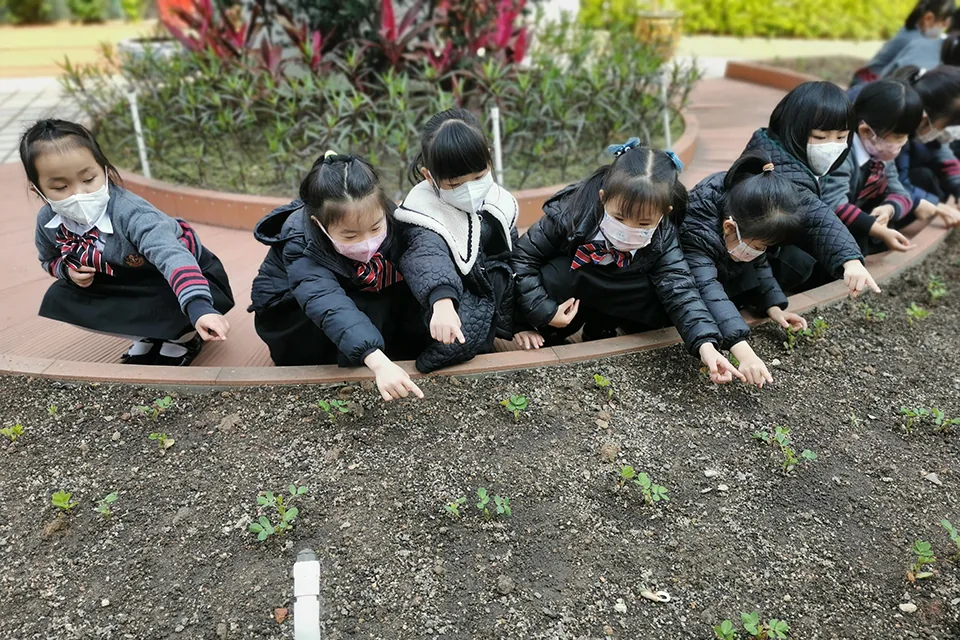 天台種植活動（二）