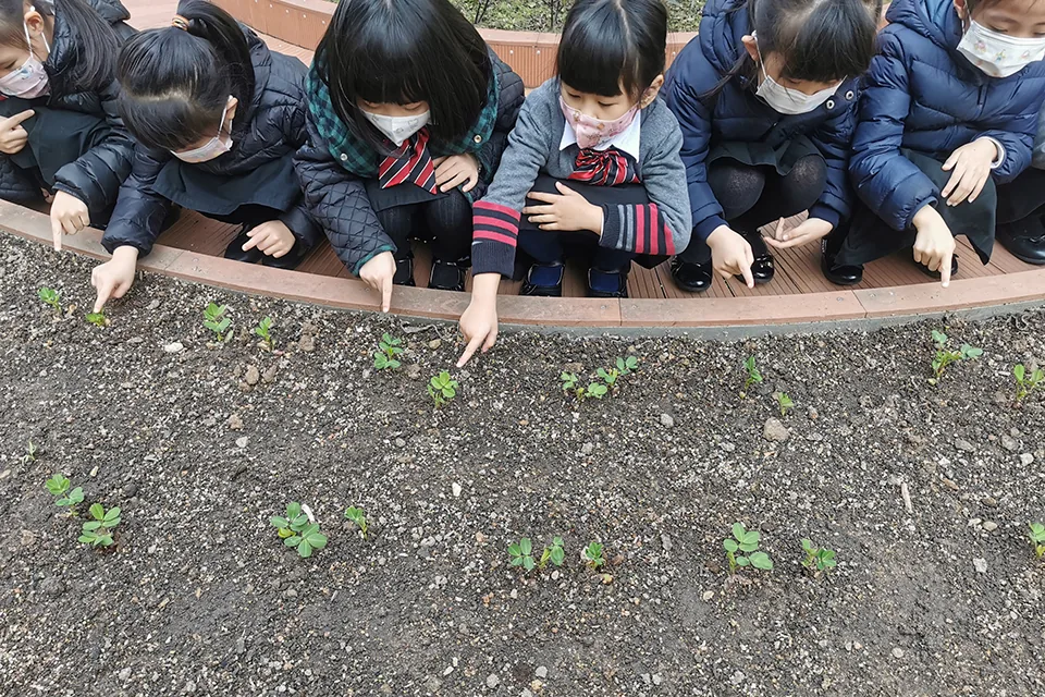 天台種植活動（二）