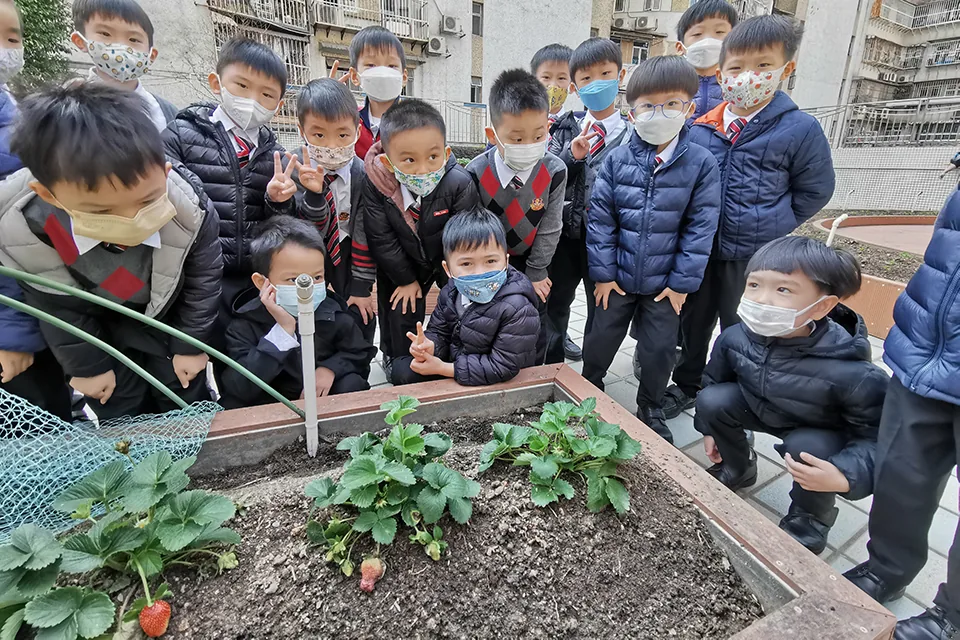 天台種植活動（二）