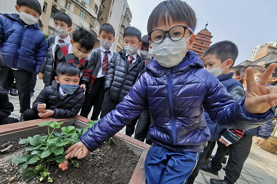 天台種植活動（二）