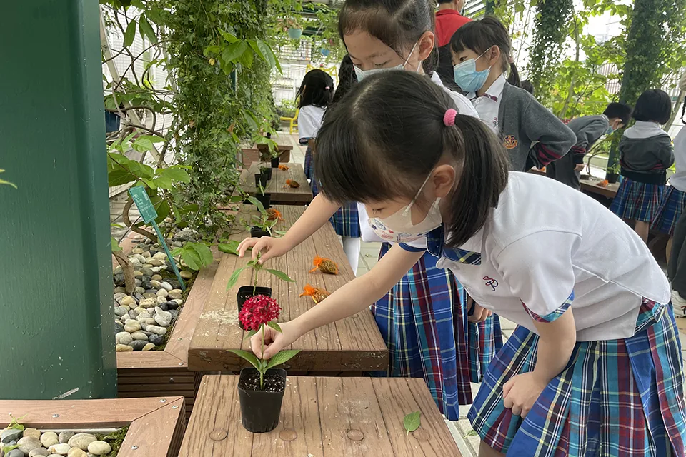 天台花園活動