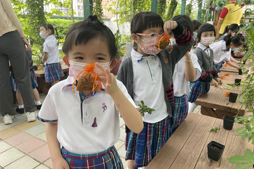 天台花園活動