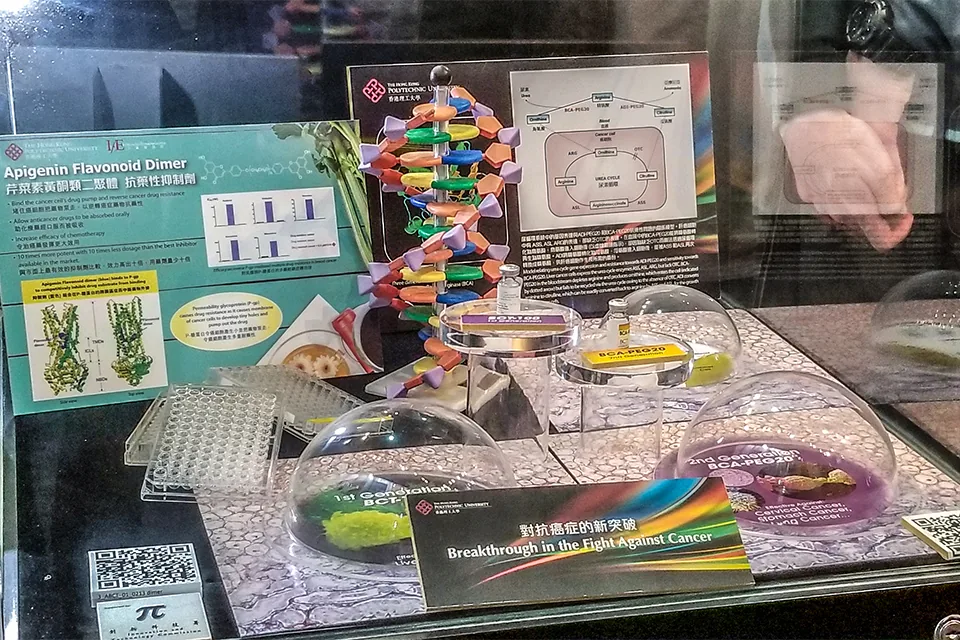 全港大學一天遊