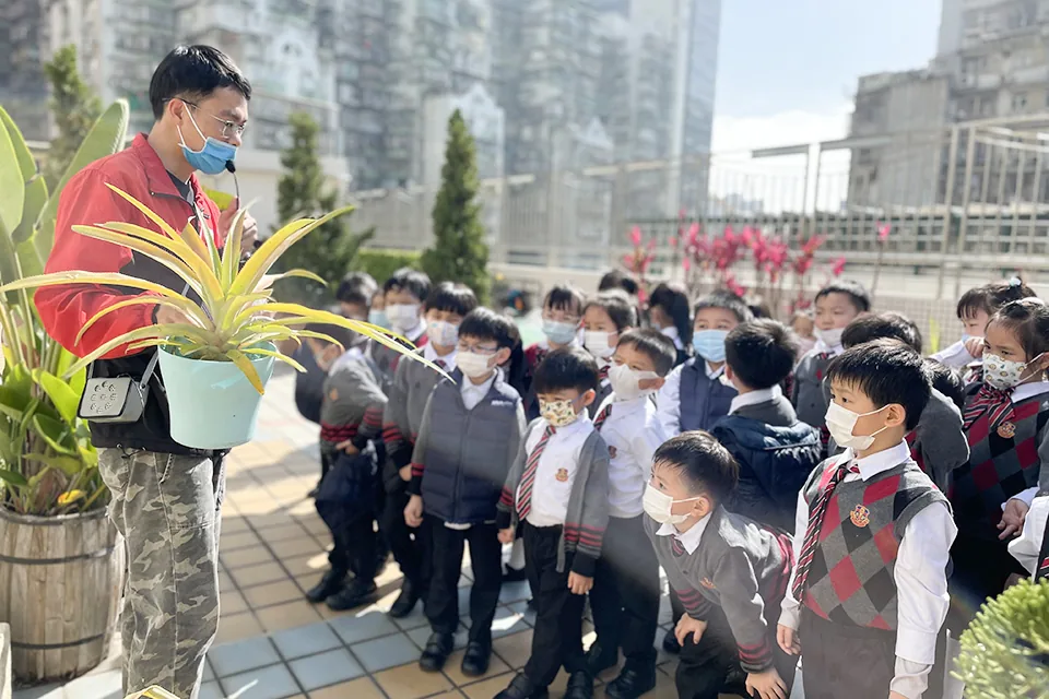 K3參觀學校天台花園