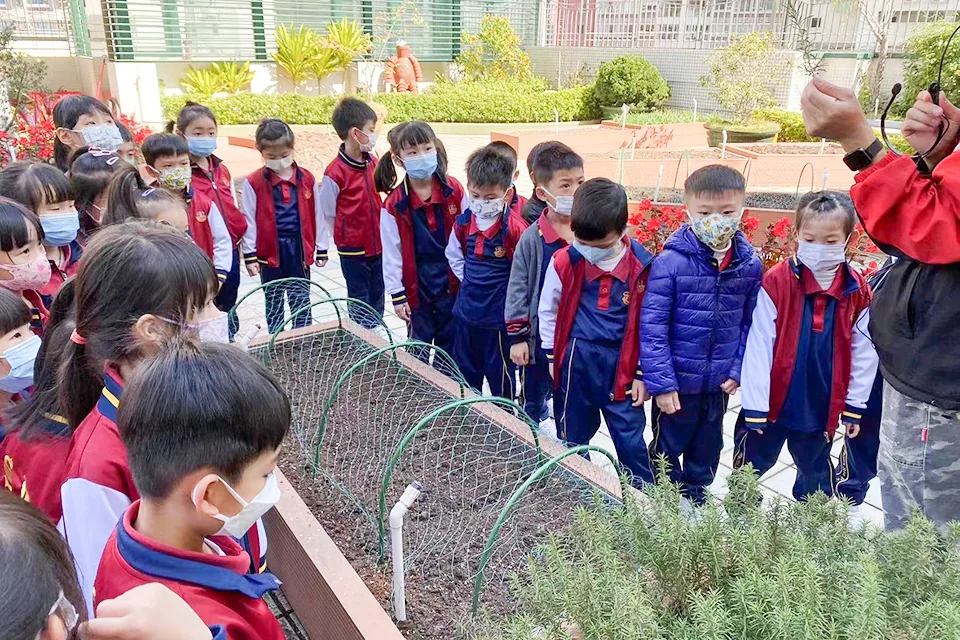 K3參觀學校天台花園
