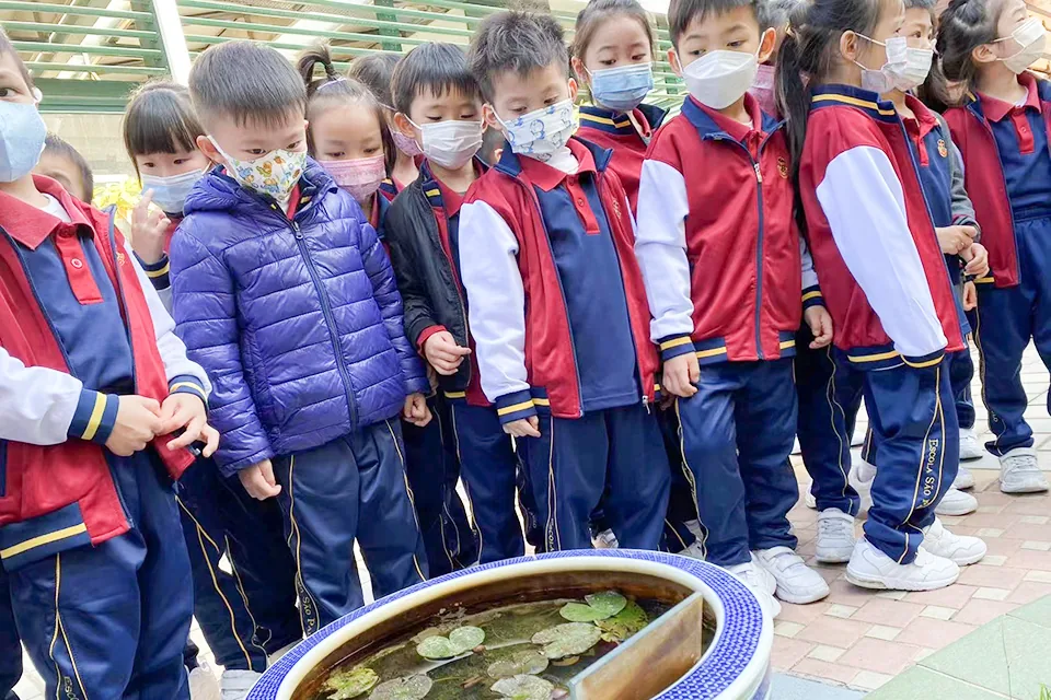 K3參觀學校天台花園