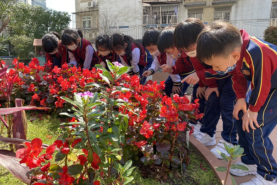 K3參觀學校天台花園