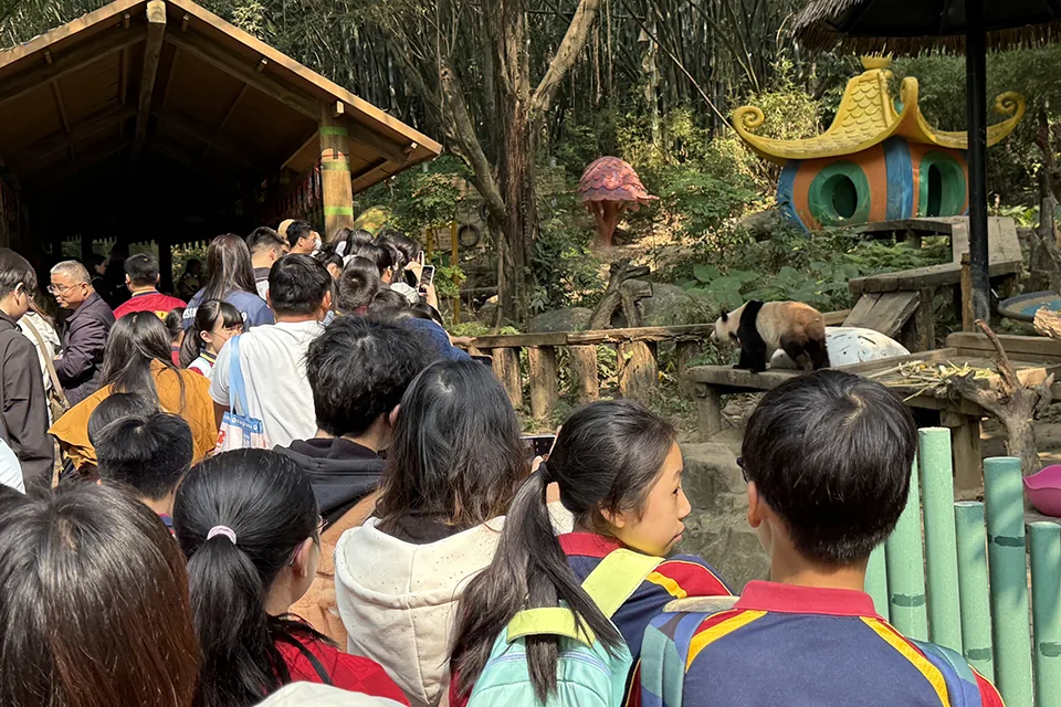 〝感受山與城〞歷史文化學習---順德、番禺歷史文化一天學習團