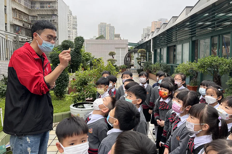 K3天台花園(二)
