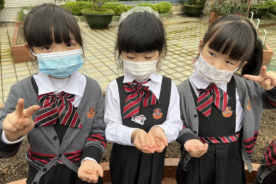 K3天台花園(二)
