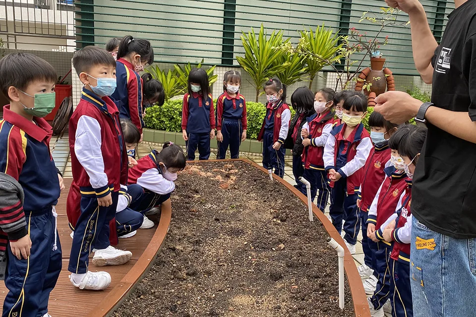 K3天台花園(二)