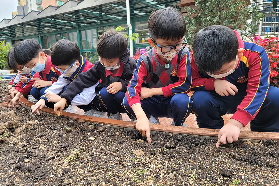 K3天台花園(二)