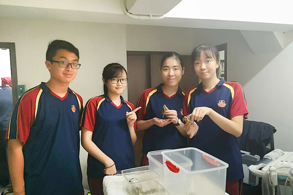 參觀寵物醫院