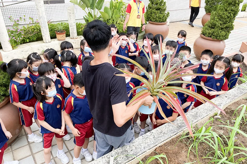 K3天台花園3