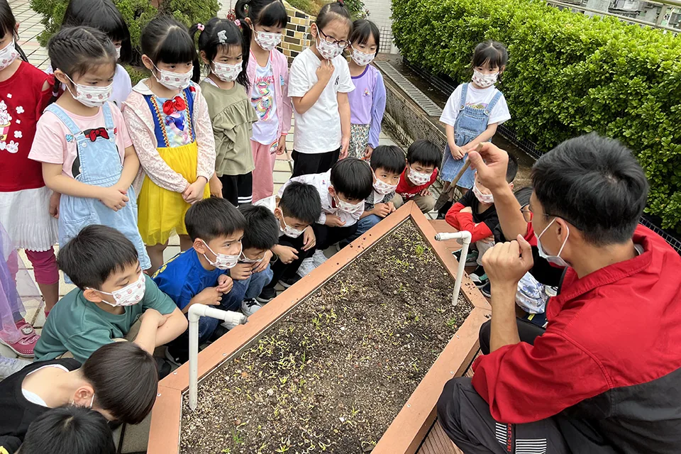 K3天台花園3