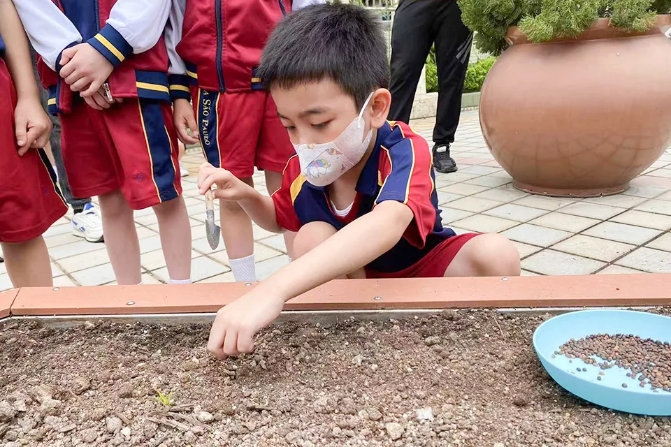 K3天台花園3