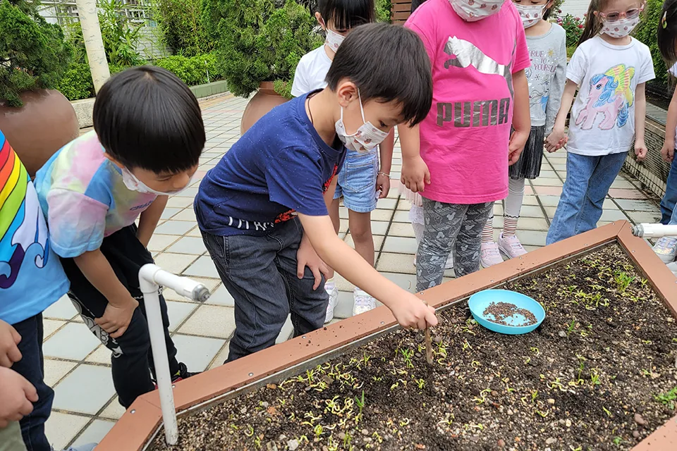K3天台花園3