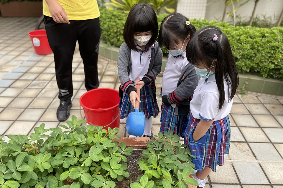 K3天台花園3