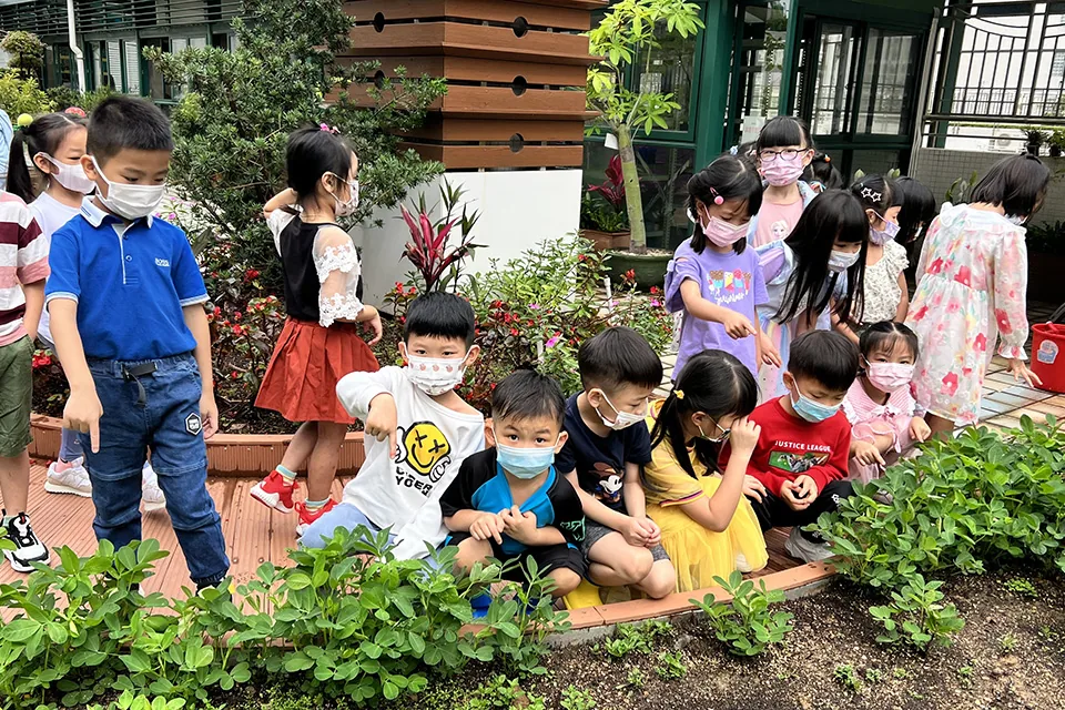 K3天台花園3