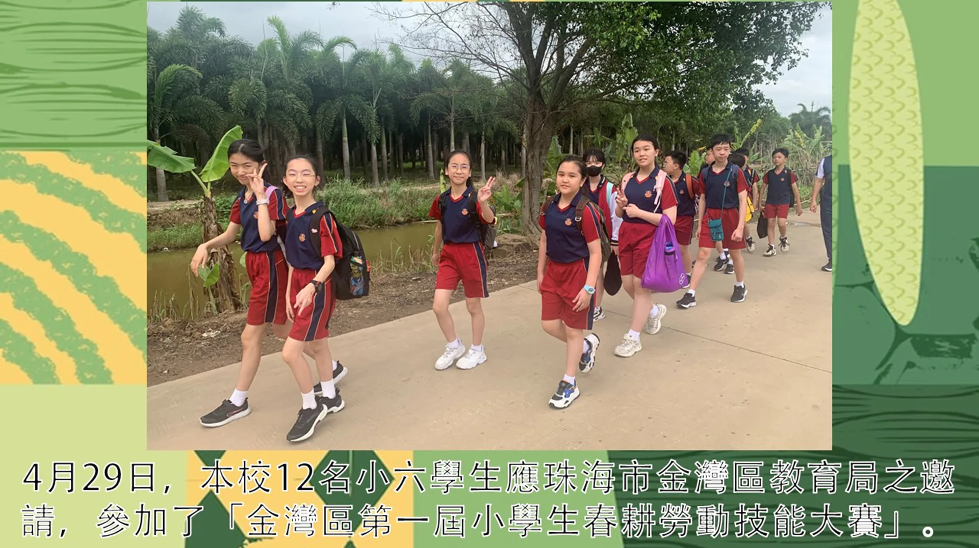 金灣區第一屆小學生春耕勞動技能大賽