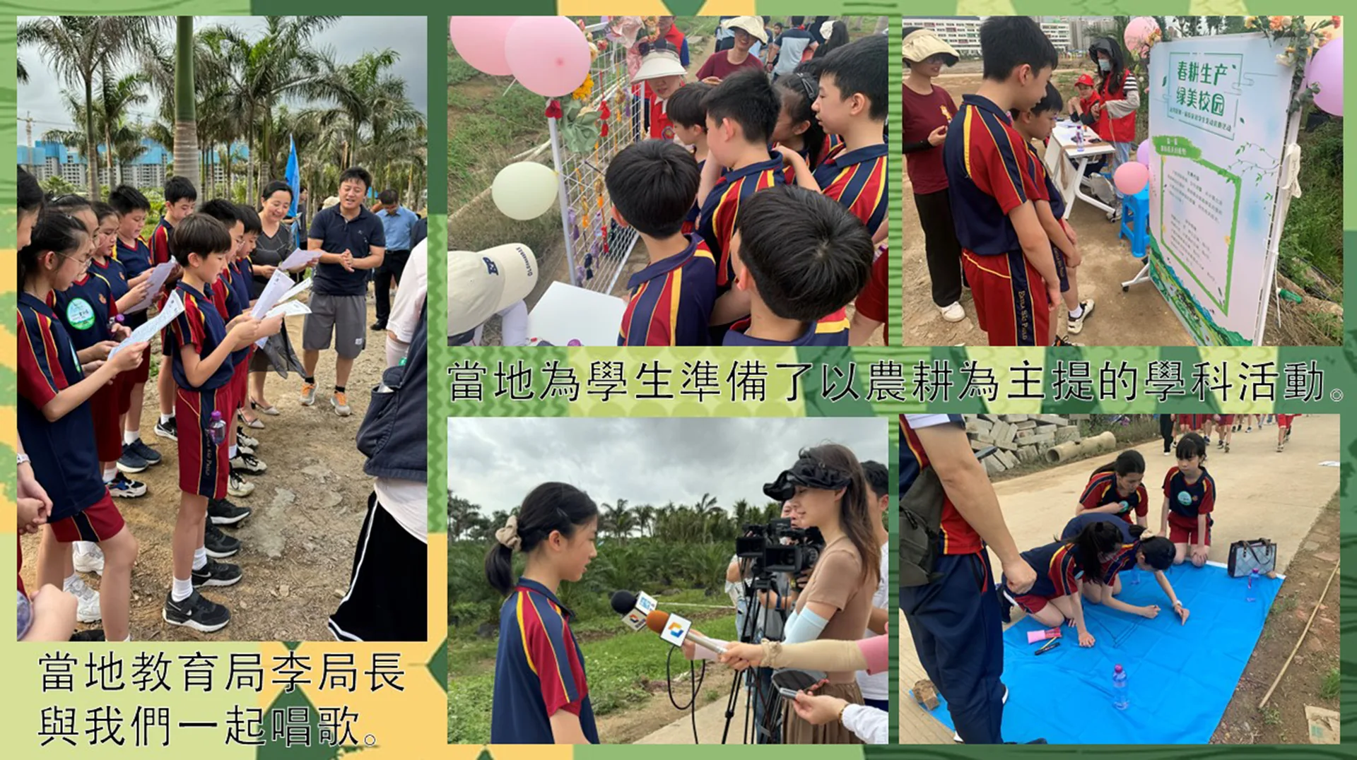 金灣區第一屆小學生春耕勞動技能大賽