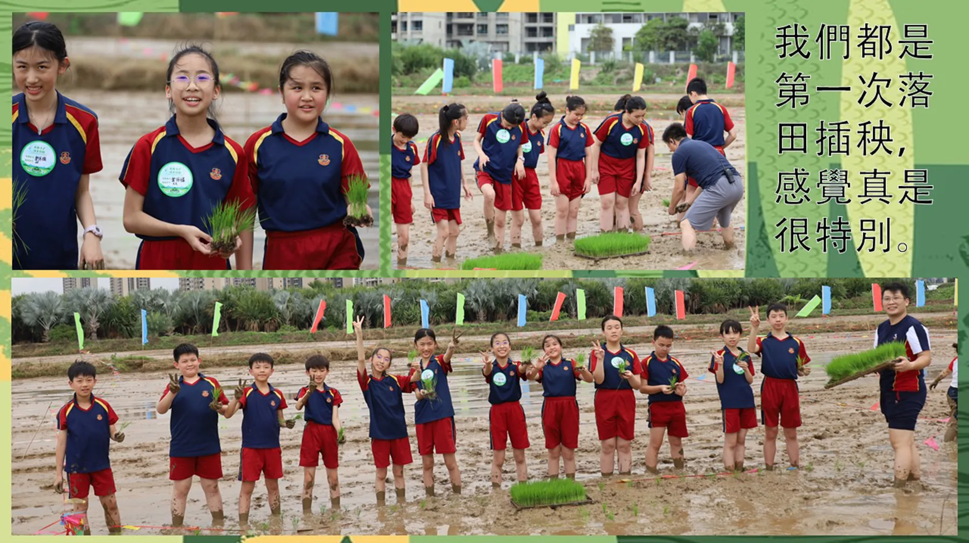 金灣區第一屆小學生春耕勞動技能大賽