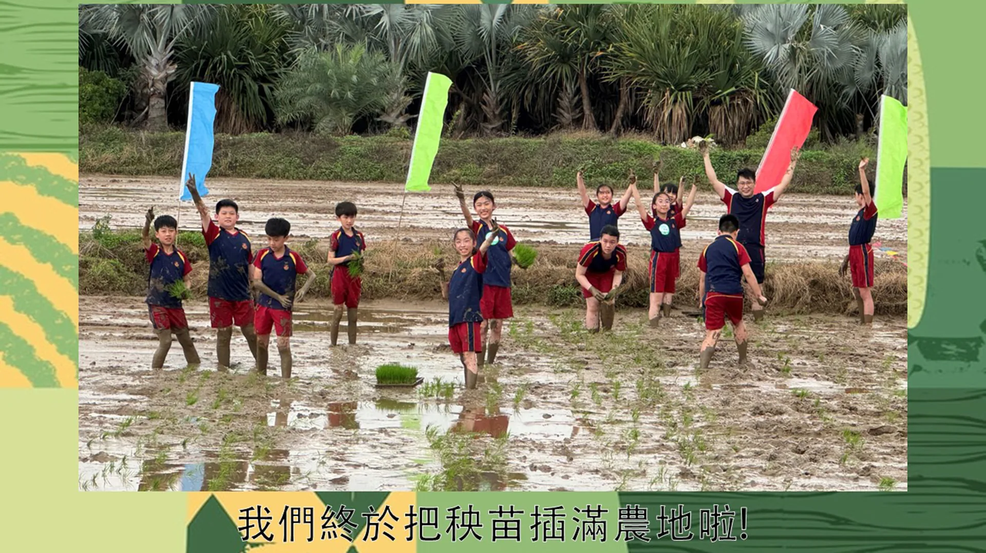 金灣區第一屆小學生春耕勞動技能大賽