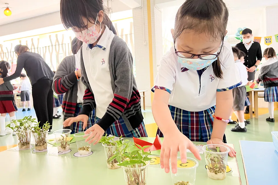 K3綜合活動四