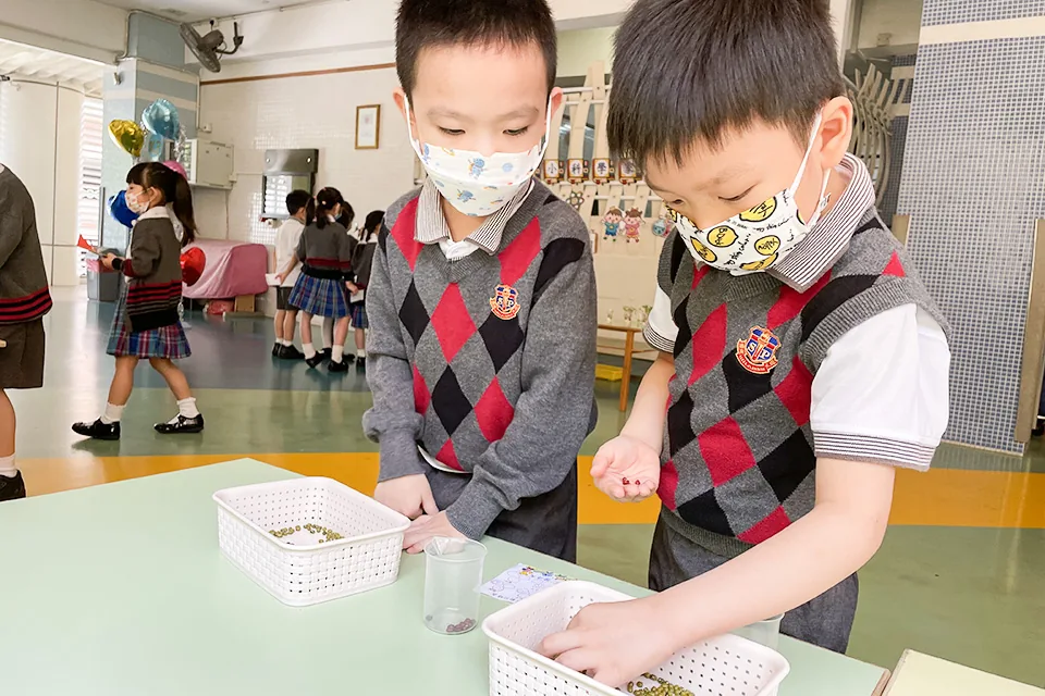 K3綜合活動四