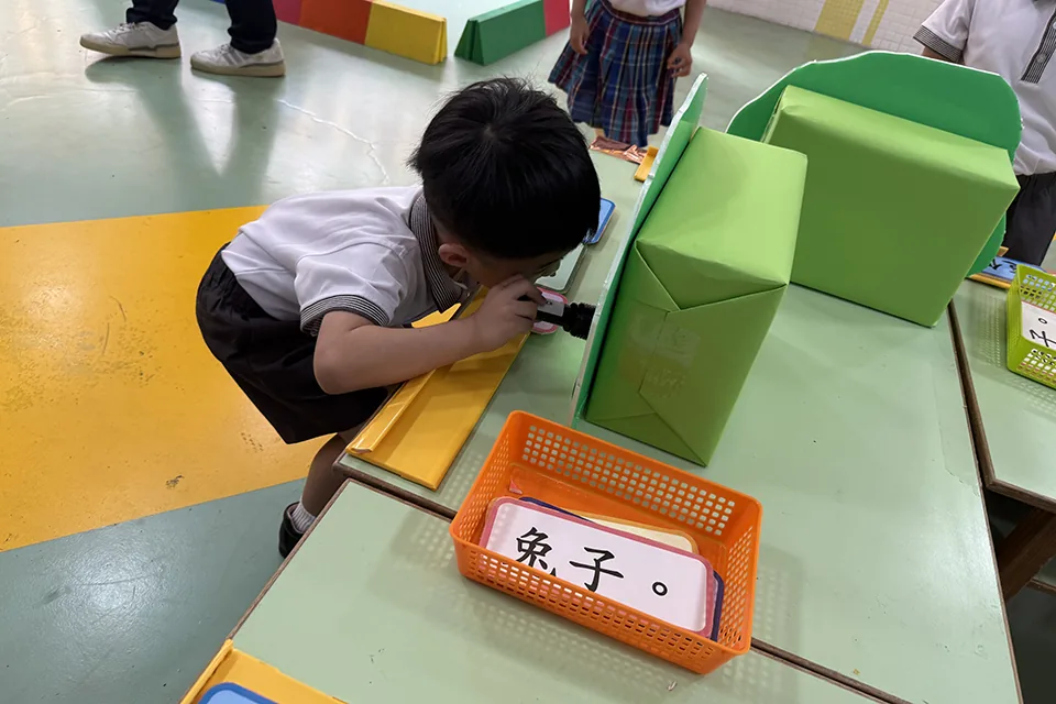 K2綜合活動