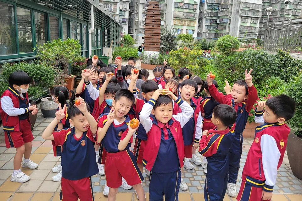 K3天台花園種植