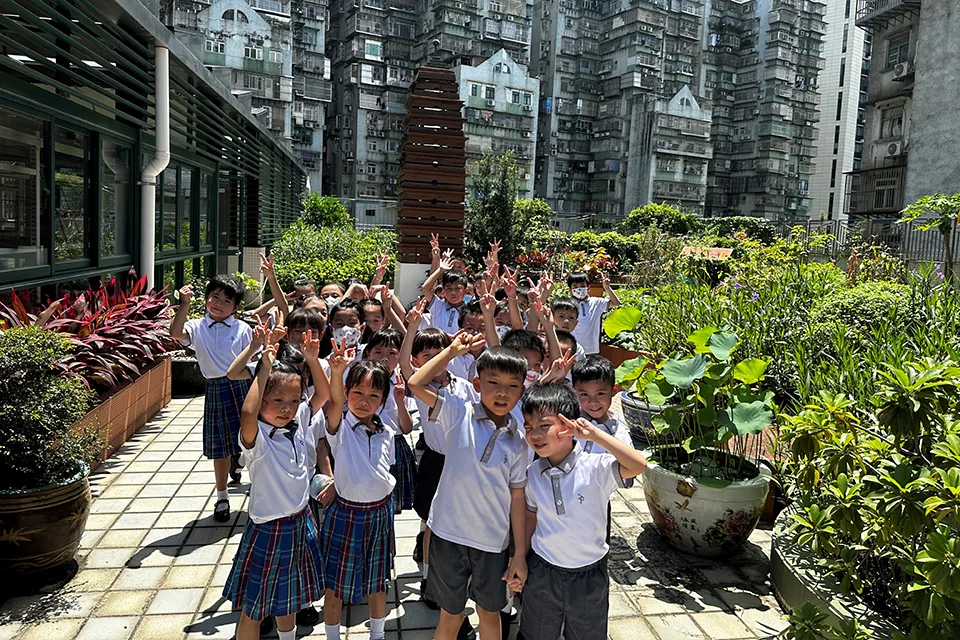 K3天台花園種植