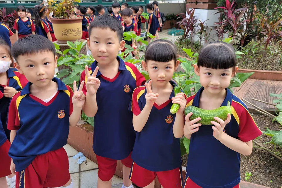 K3天台花園種植