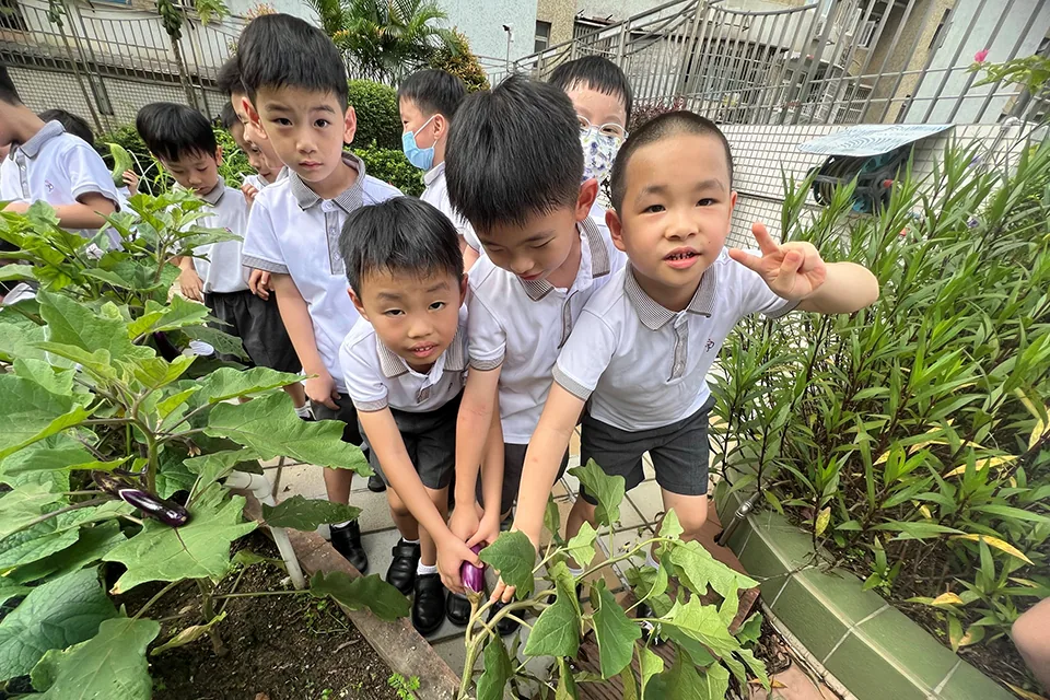 K3天台花園種植