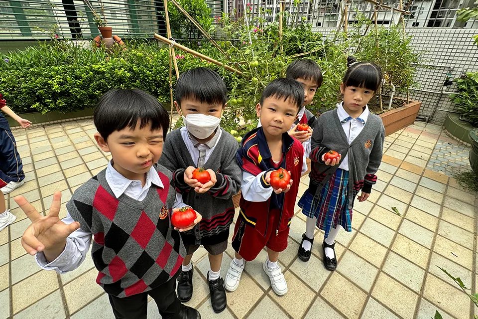 K3天台花園種植