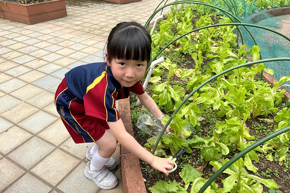 K3天台花園種植