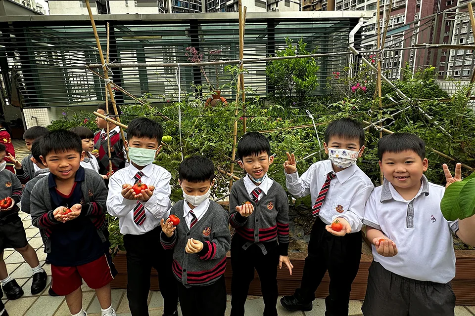 K3天台花園種植