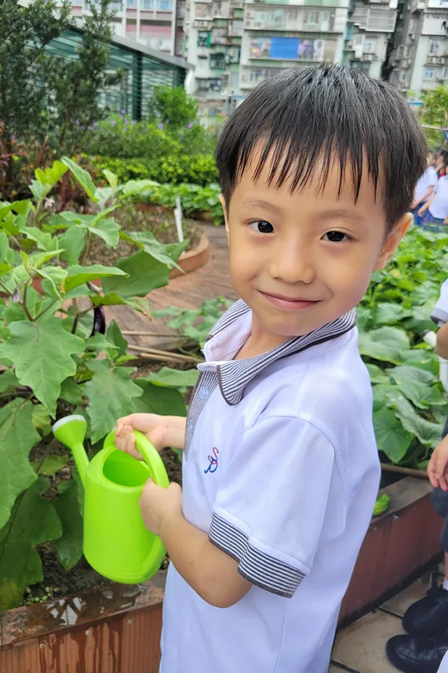 K3天台花園種植