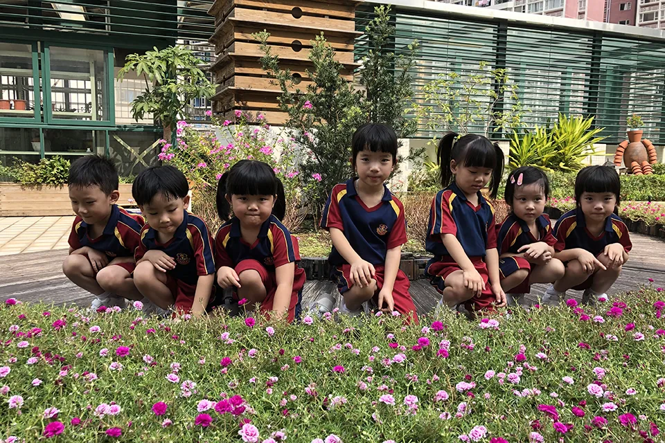 K3天台花園活動