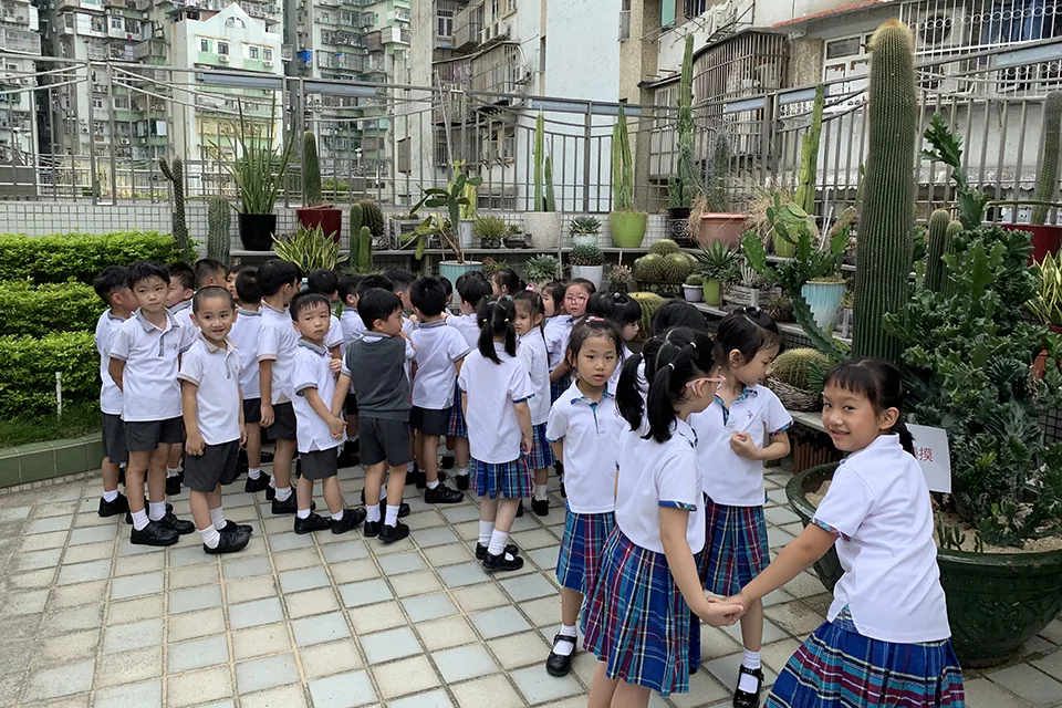 K3天台花園活動